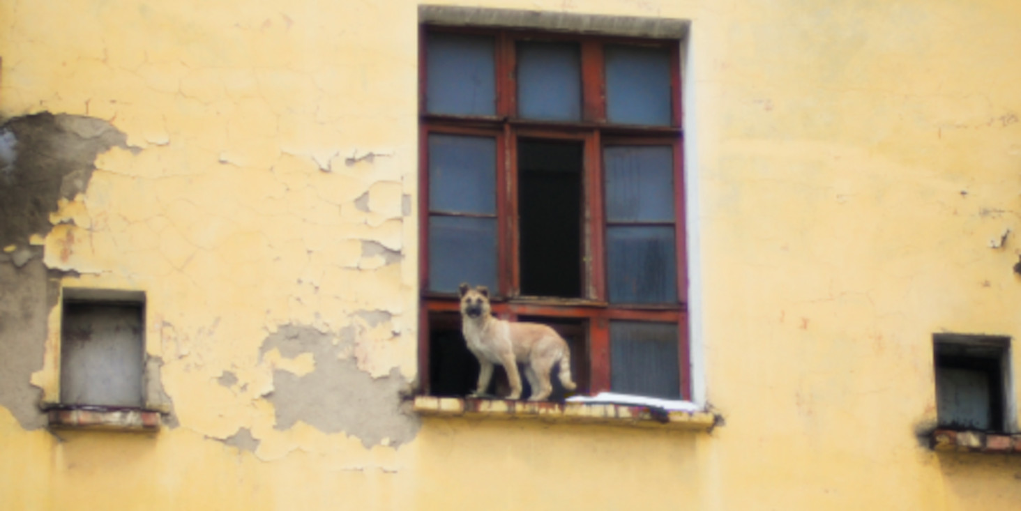 Ciampi_20240220_KAZEPOVimmagine