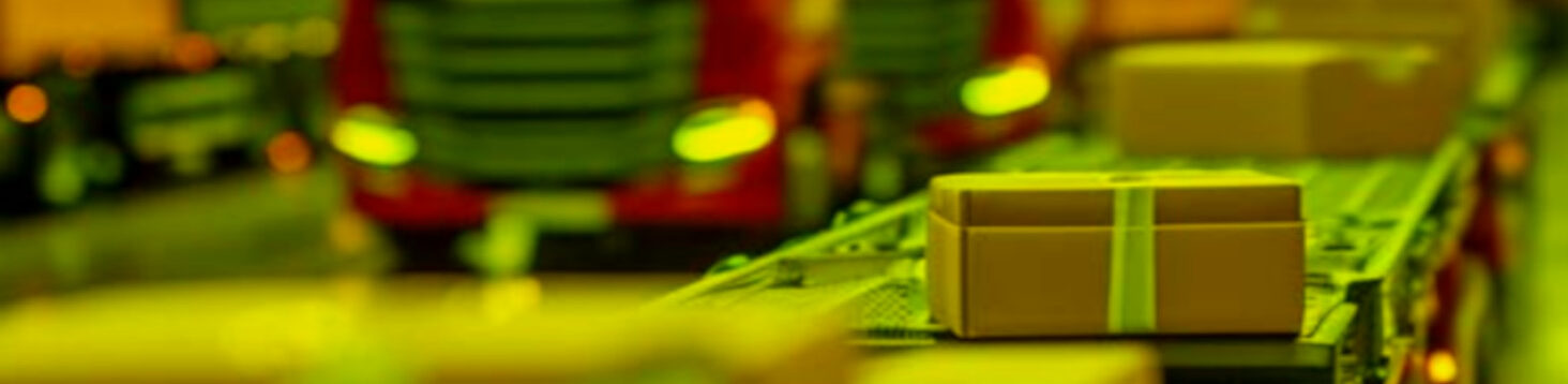 ciampi_20240613_thelenimmagine